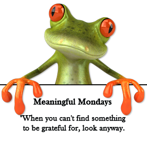 Look Anyway