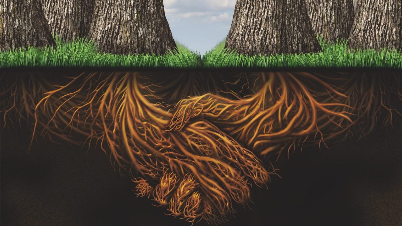 Are you Intertwined? Or  "INTERTWINEMENT" THE HIDDEN SOLUTION TO ENDURING ACHIEVEMENTS.
ID 26526723 | Hand Tree Roots © Skypixel | Dreamstime.com